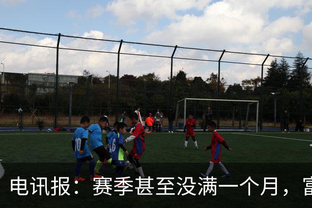 电讯报：赛季甚至没满一个月，富勒姆对卡里克来说已经成了生死战